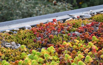 the cost of Higher Bebington green roof installation