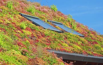 Higher Bebington living roof systems