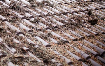 Higher Bebington roof cleaning companies